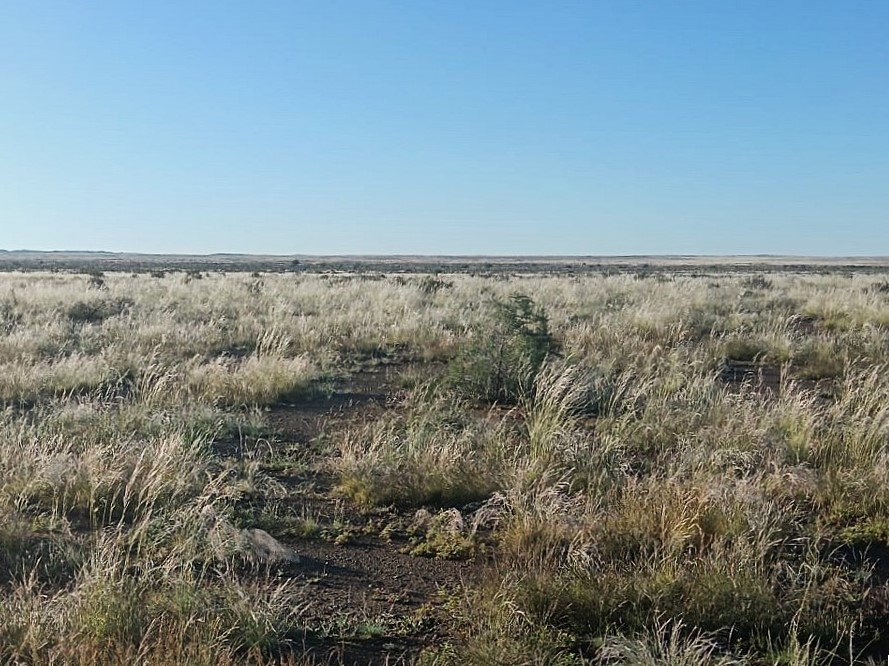 Commercial Property for Sale in Calvinia Rural Northern Cape